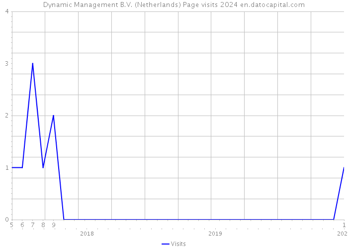 Dynamic Management B.V. (Netherlands) Page visits 2024 
