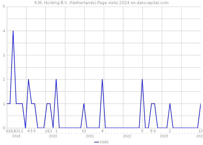 R.M. Holding B.V. (Netherlands) Page visits 2024 
