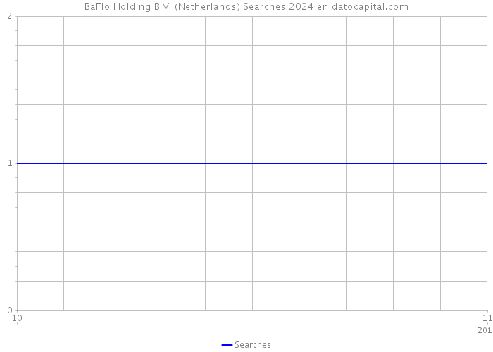 BaFlo Holding B.V. (Netherlands) Searches 2024 