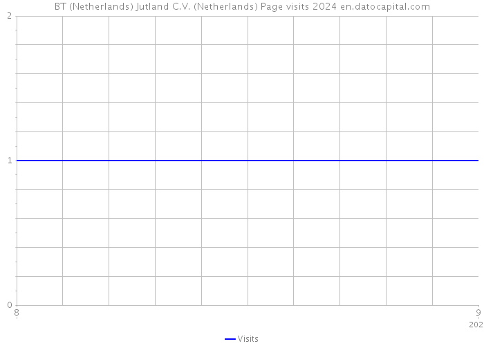 BT (Netherlands) Jutland C.V. (Netherlands) Page visits 2024 