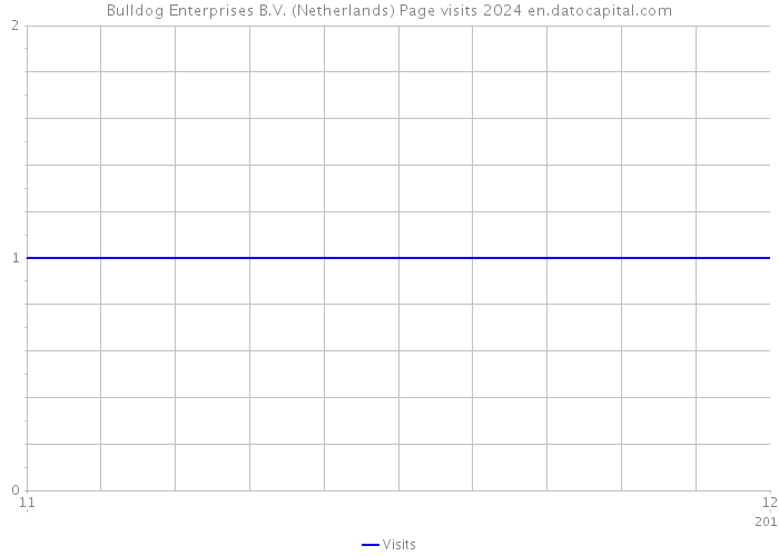 Bulldog Enterprises B.V. (Netherlands) Page visits 2024 
