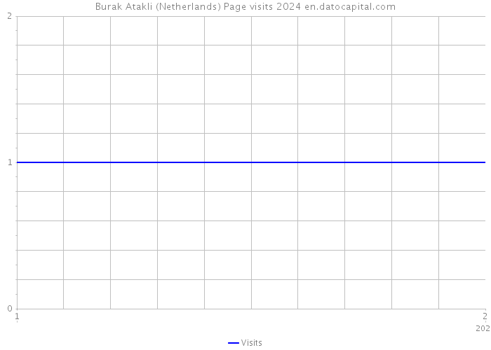 Burak Atakli (Netherlands) Page visits 2024 