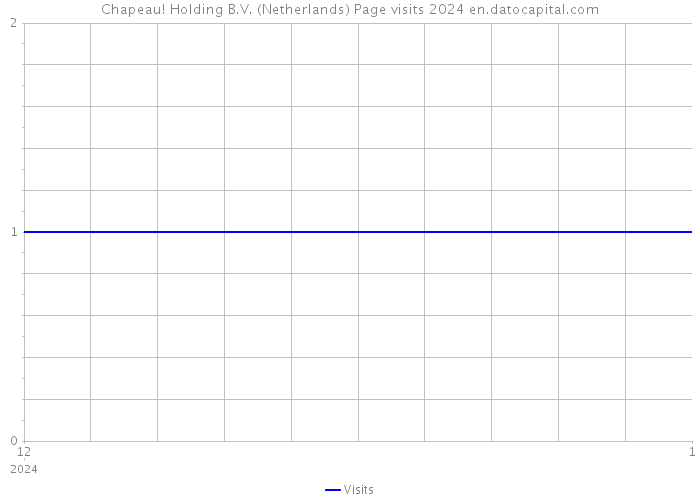 Chapeau! Holding B.V. (Netherlands) Page visits 2024 