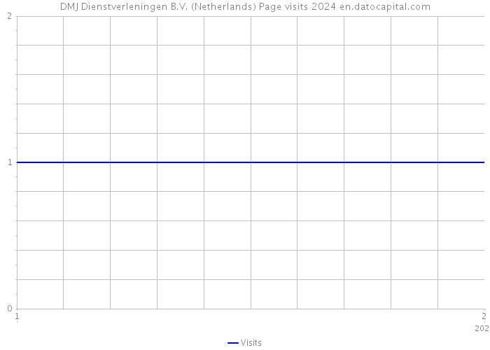 DMJ Dienstverleningen B.V. (Netherlands) Page visits 2024 