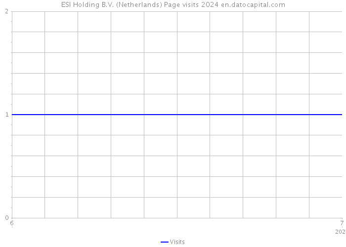 ESI Holding B.V. (Netherlands) Page visits 2024 