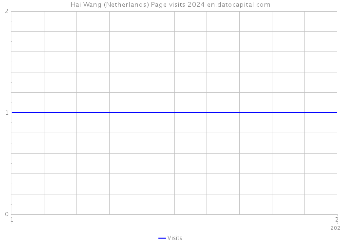 Hai Wang (Netherlands) Page visits 2024 
