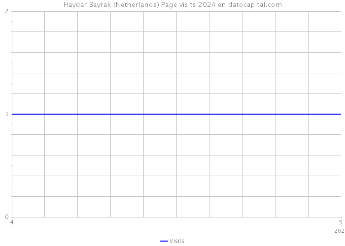 Haydar Bayrak (Netherlands) Page visits 2024 