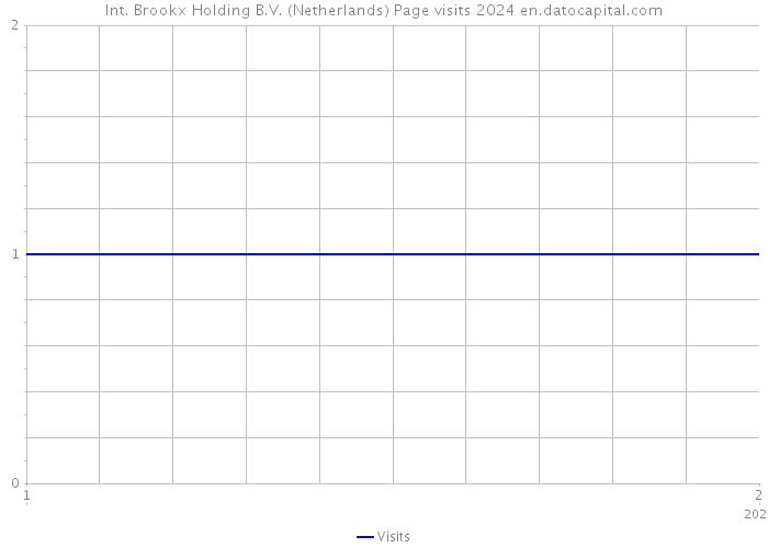 Int. Brookx Holding B.V. (Netherlands) Page visits 2024 
