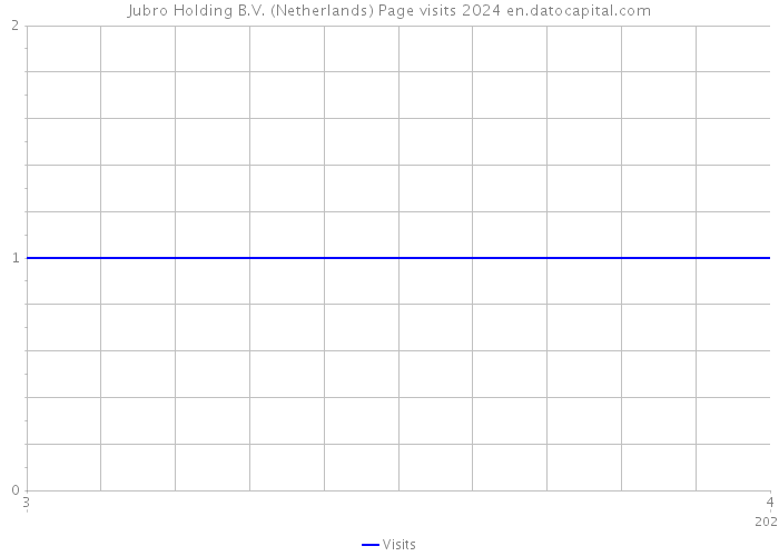 Jubro Holding B.V. (Netherlands) Page visits 2024 