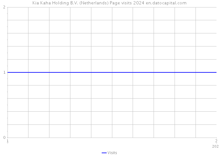 Kia Kaha Holding B.V. (Netherlands) Page visits 2024 