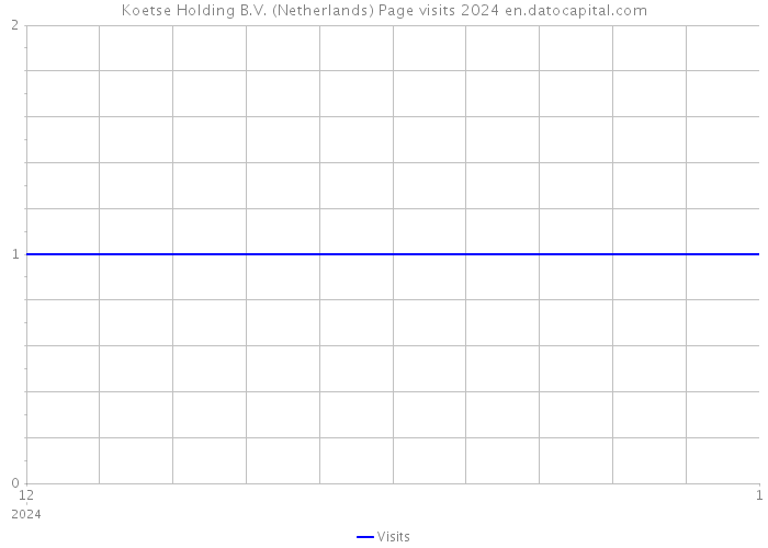 Koetse Holding B.V. (Netherlands) Page visits 2024 