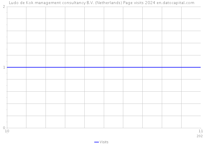 Ludo de Kok management consultancy B.V. (Netherlands) Page visits 2024 