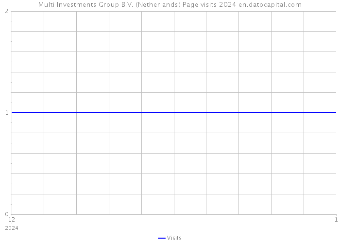 Multi Investments Group B.V. (Netherlands) Page visits 2024 