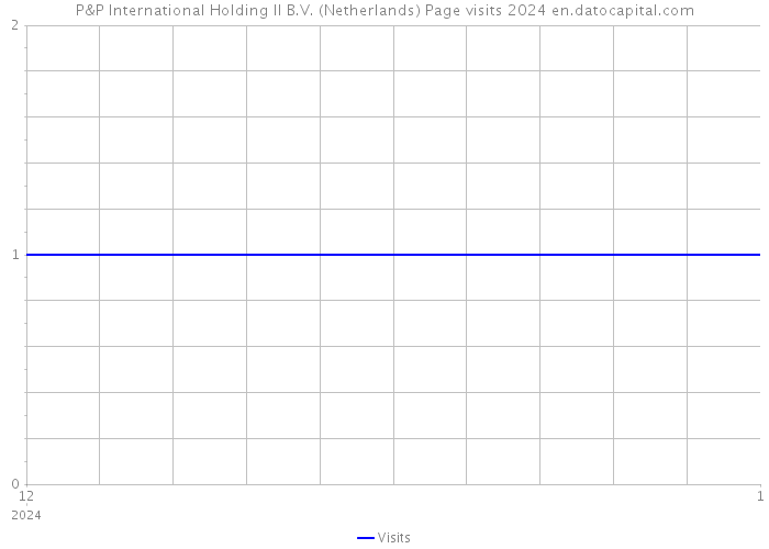 P&P International Holding II B.V. (Netherlands) Page visits 2024 
