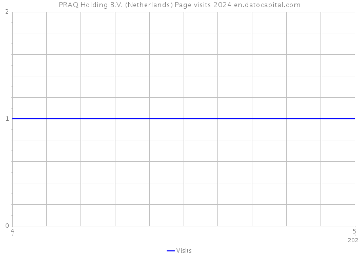 PRAQ Holding B.V. (Netherlands) Page visits 2024 
