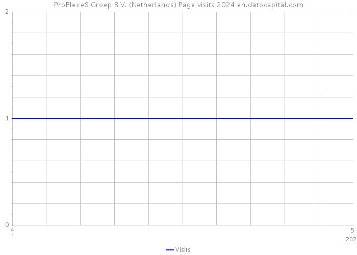 ProFlexeS Groep B.V. (Netherlands) Page visits 2024 