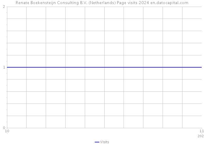 Renate Boekensteijn Consulting B.V. (Netherlands) Page visits 2024 