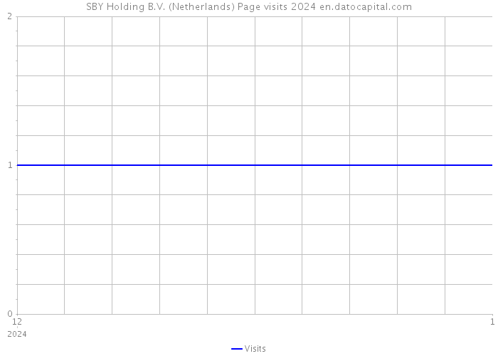 SBY Holding B.V. (Netherlands) Page visits 2024 