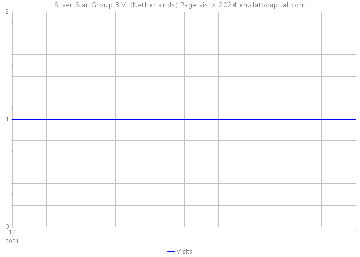 Silver Star Group B.V. (Netherlands) Page visits 2024 