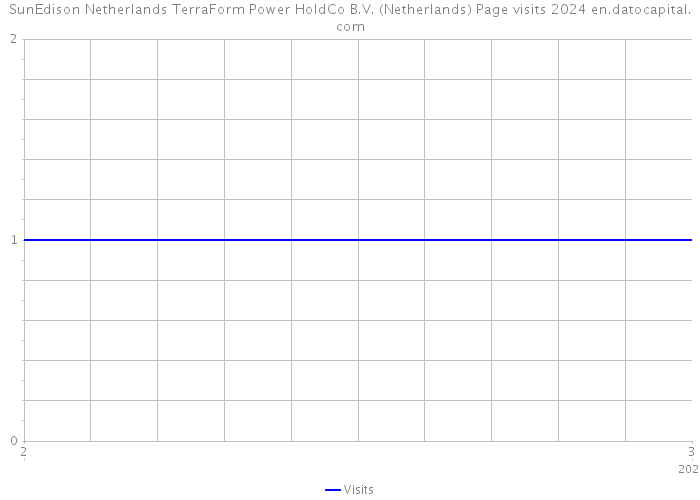 SunEdison Netherlands TerraForm Power HoldCo B.V. (Netherlands) Page visits 2024 