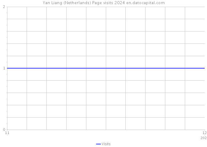 Yan Liang (Netherlands) Page visits 2024 