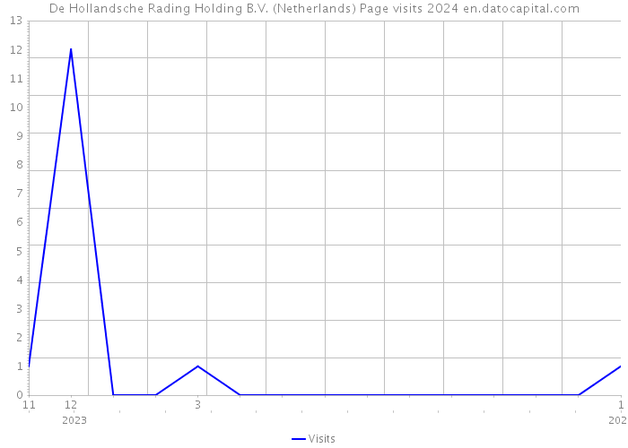 De Hollandsche Rading Holding B.V. (Netherlands) Page visits 2024 
