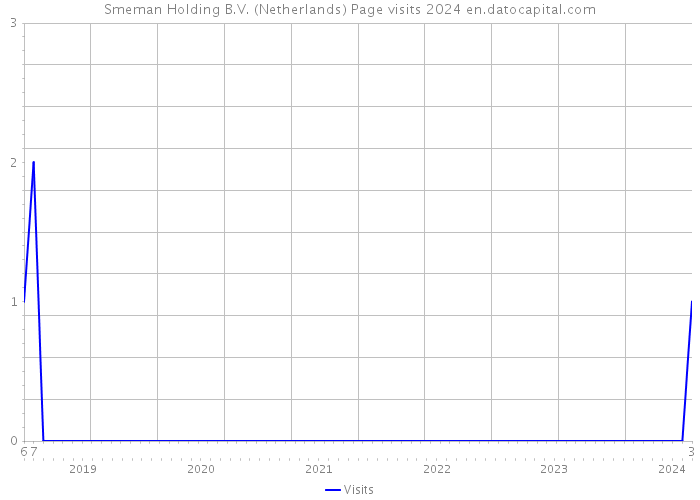 Smeman Holding B.V. (Netherlands) Page visits 2024 
