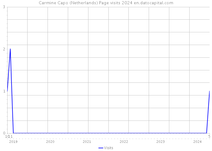 Carmine Capo (Netherlands) Page visits 2024 