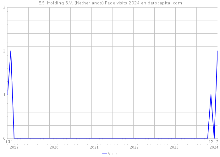 E.S. Holding B.V. (Netherlands) Page visits 2024 