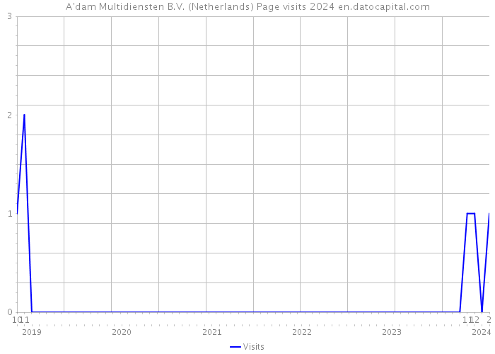 A'dam Multidiensten B.V. (Netherlands) Page visits 2024 