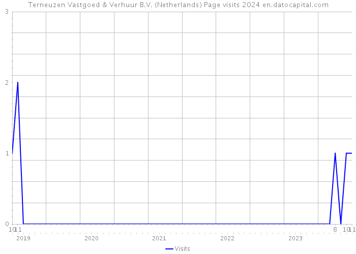 Terneuzen Vastgoed & Verhuur B.V. (Netherlands) Page visits 2024 