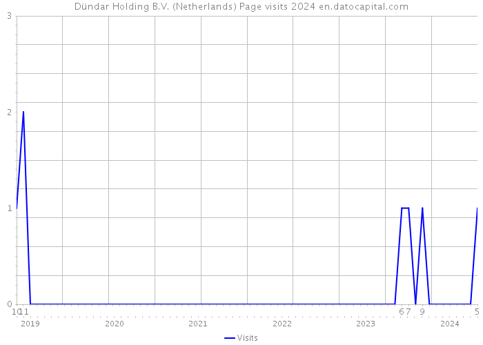 Dündar Holding B.V. (Netherlands) Page visits 2024 