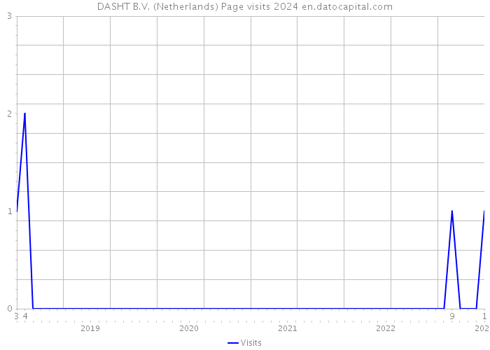 DASHT B.V. (Netherlands) Page visits 2024 