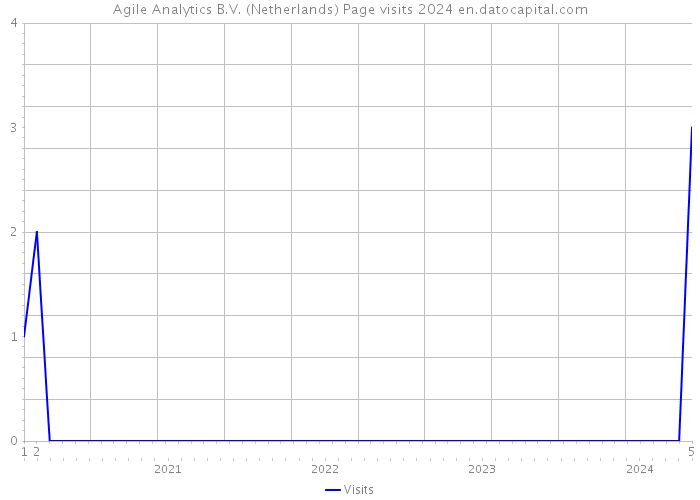 Agile Analytics B.V. (Netherlands) Page visits 2024 
