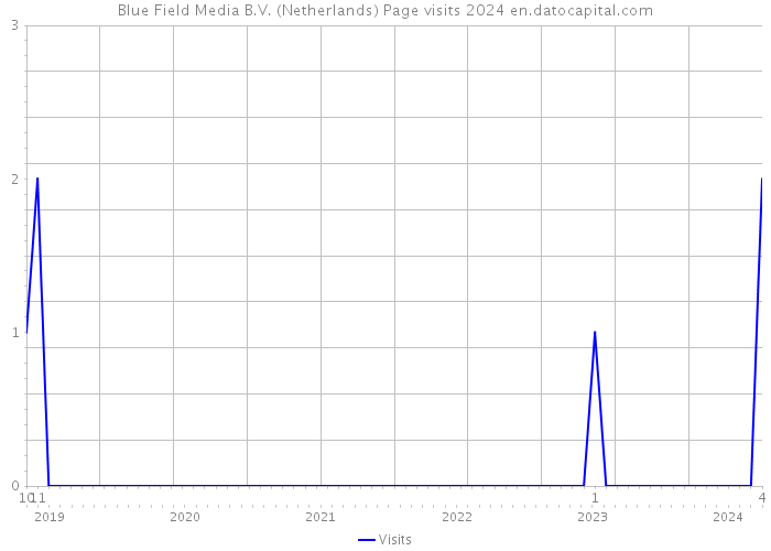 Blue Field Media B.V. (Netherlands) Page visits 2024 