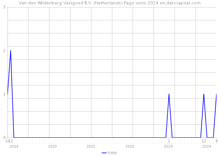Van den Wildenberg Vastgoed B.V. (Netherlands) Page visits 2024 