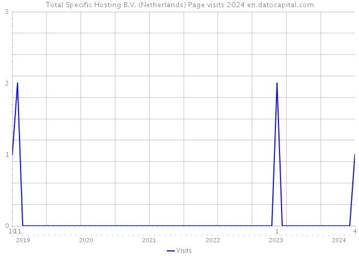 Total Specific Hosting B.V. (Netherlands) Page visits 2024 