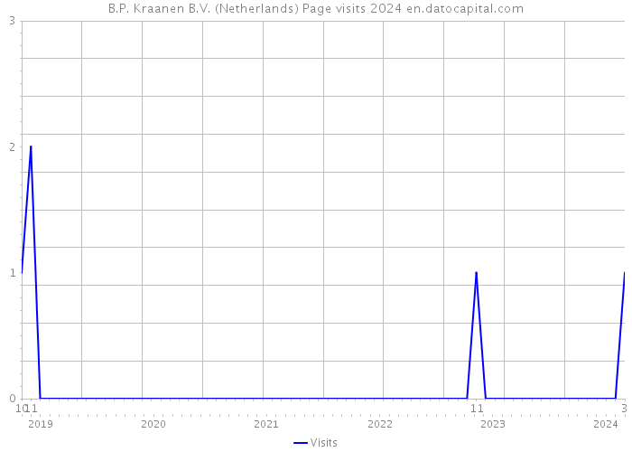 B.P. Kraanen B.V. (Netherlands) Page visits 2024 
