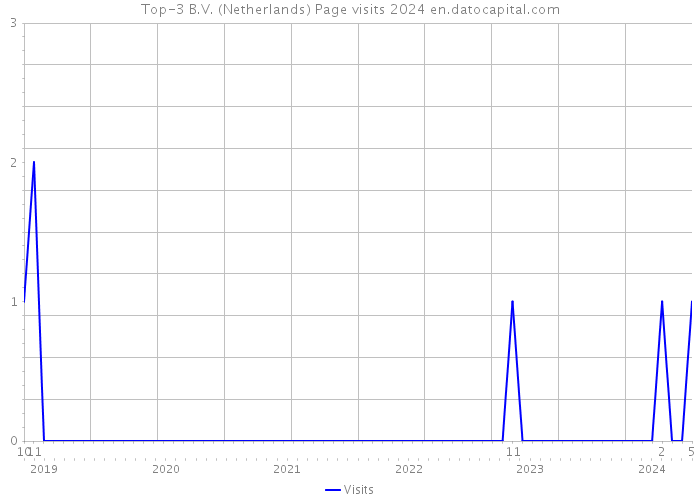 Top-3 B.V. (Netherlands) Page visits 2024 