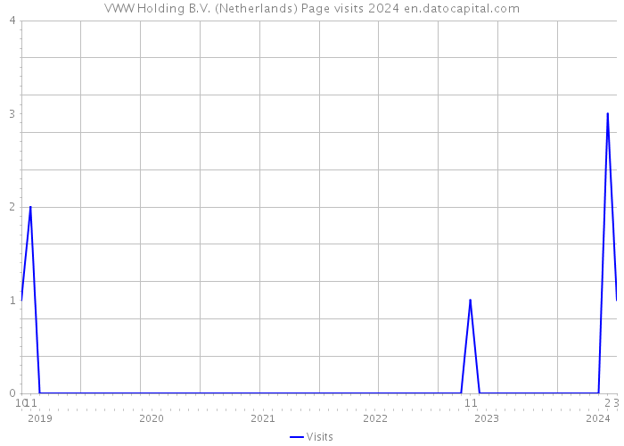 VWW Holding B.V. (Netherlands) Page visits 2024 