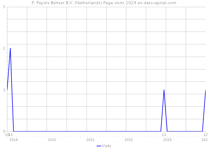 P. Pepels Beheer B.V. (Netherlands) Page visits 2024 
