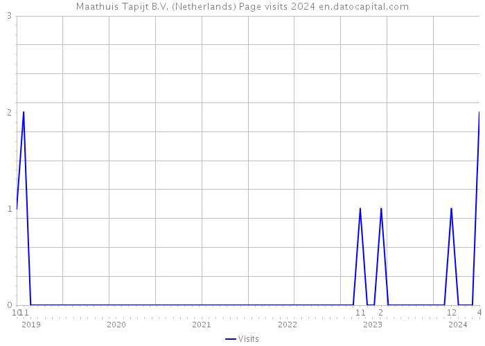 Maathuis Tapijt B.V. (Netherlands) Page visits 2024 