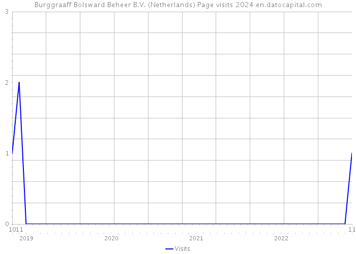 Burggraaff Bolsward Beheer B.V. (Netherlands) Page visits 2024 
