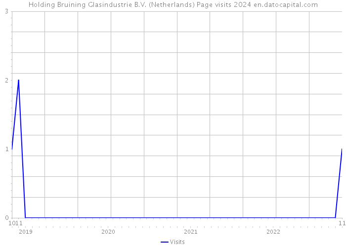 Holding Bruining Glasindustrie B.V. (Netherlands) Page visits 2024 