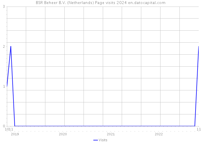 BSR Beheer B.V. (Netherlands) Page visits 2024 
