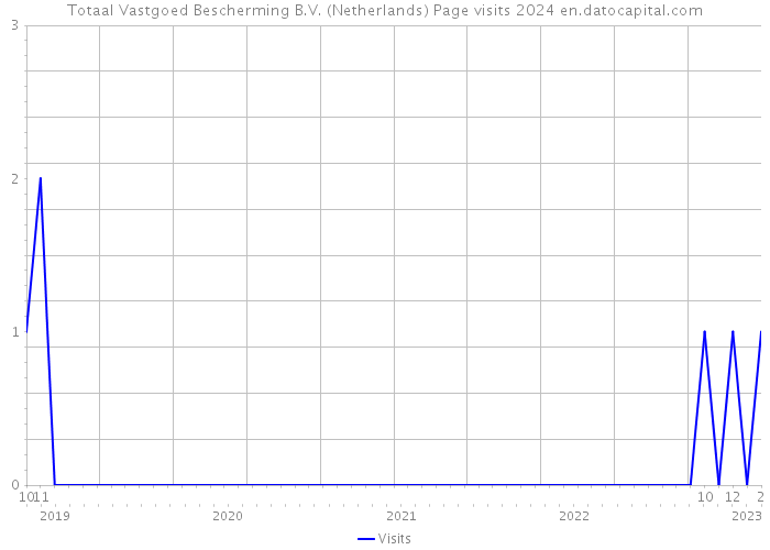 Totaal Vastgoed Bescherming B.V. (Netherlands) Page visits 2024 