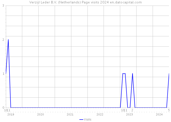 Verzijl Leder B.V. (Netherlands) Page visits 2024 