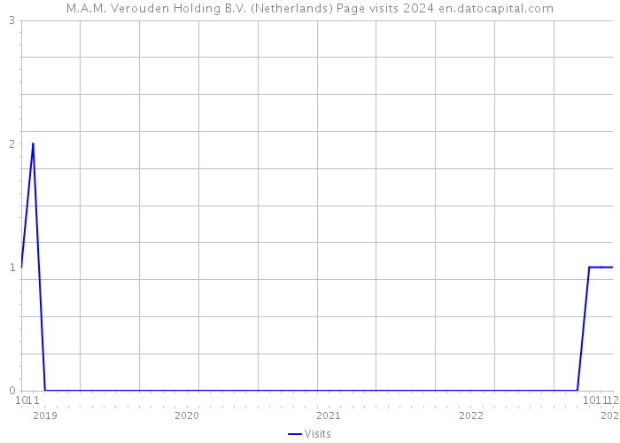 M.A.M. Verouden Holding B.V. (Netherlands) Page visits 2024 
