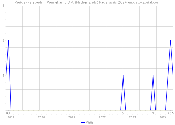 Rietdekkersbedrijf Wemekamp B.V. (Netherlands) Page visits 2024 