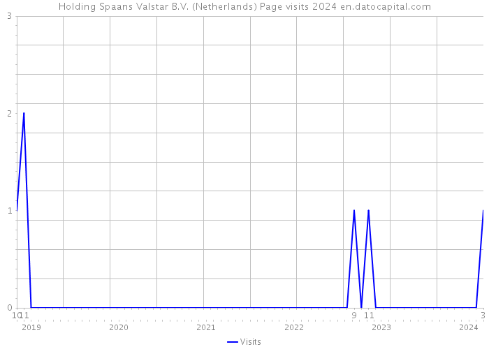 Holding Spaans Valstar B.V. (Netherlands) Page visits 2024 